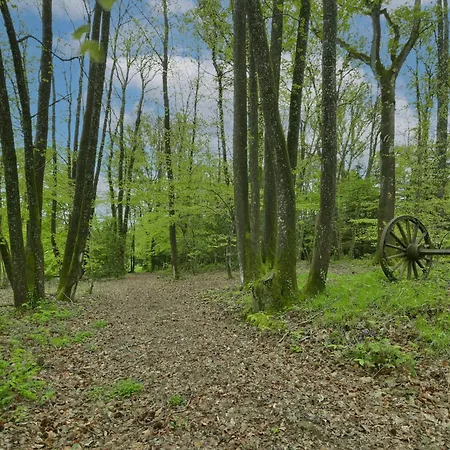 Insolite Troglogite - Pour 5 En Pleine Nature Nyaraló *